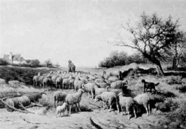 Heimkehr Zum Stall, Schaefer Mit Grosser Herde In Weiter Landschaft - view 1