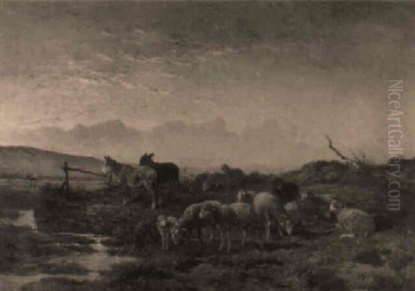 Moutons Au Paturage - view 1