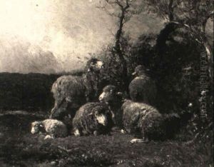 Schafe Auf Der Weide Vor Einem Gebusch Schafe Auf Der Weide Vor Einem Gebusch