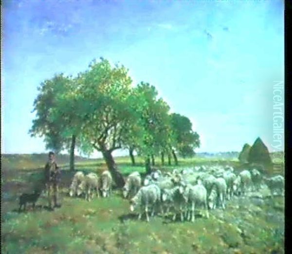Schafherde In Weiter Landschaft - view 1