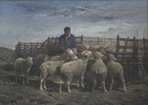 Tending The Sheep - view 1