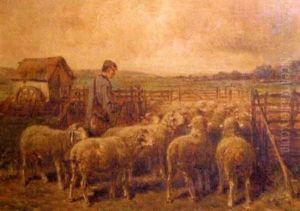 Shepherd Herding A Flock Of Sheep Into A Pen, Small Building, Field And Trees In The Background
