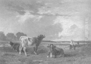 Kuhe Mit Hutejunge Auf Der Weide Kuhe Mit Hutejunge Auf Der Weide