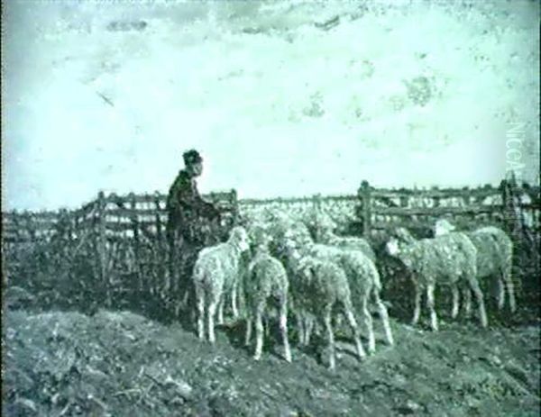 Schafer Mit Seiner Herde Im Pferch - view 1