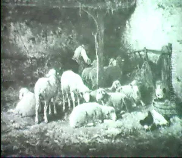 Sheep In A Stable - view 1