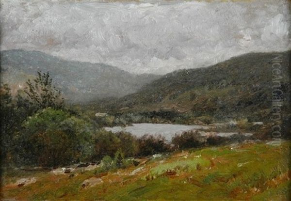 Glimpse Of The Lake - view 1