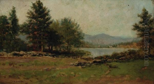 Summer Landscape - view 1