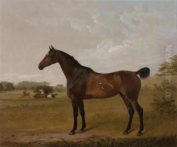 Bay Hunter In Windsor Great Park - view 1