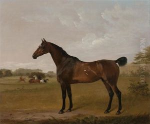 Bay Hunter In Windsor Great Park
