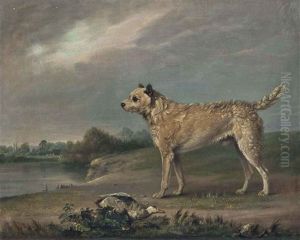 A Favourite Terrier