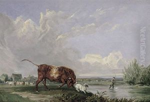 Stier Verfolgt Einen Jack-russell-terrier by Edmund Bristow