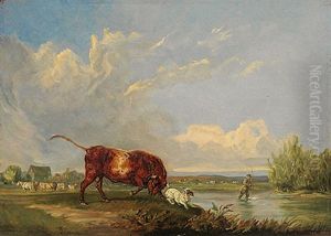 Stier Verfolgt Einen Jack-russell-terrier. Besonnte Weidelandschaft Mit Flusslauf Und Angler
