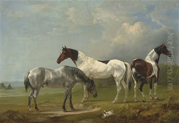 Two Skewbalds, A Grey And Spaniel - view 1