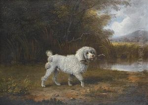 A Poodle In A Landscape