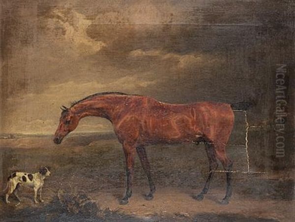 A Bay Hunter And A Pointer In A Landscape - view 1