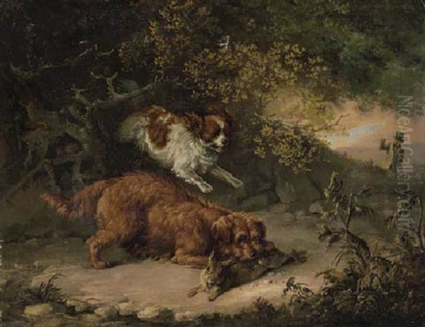 Dogs Rabbiting In A Woodland Clearing, A Sportsman Beyond - view 1