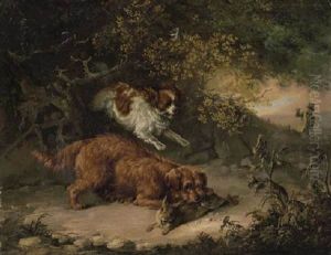 Dogs Rabbiting In A Woodland Clearing, A Sportsman Beyond Dogs Rabbiting In A Woodland Clearing, A Sportsman Beyond