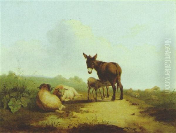 Donkeys And Sheep In A Meadow - view 1