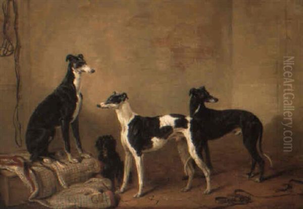 Lord Garlies' Greyhounds And A Spaniel In A Kennel - view 1
