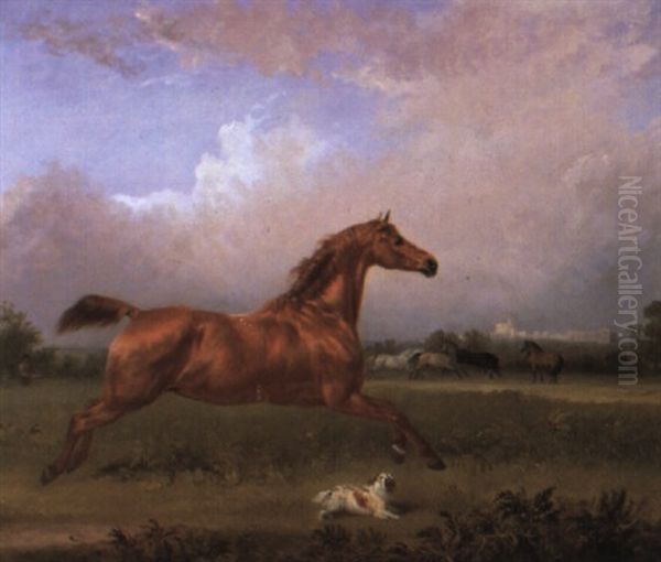 Chesnut Hunter And A King Charles Spaniel Near Windsor Castle - view 1