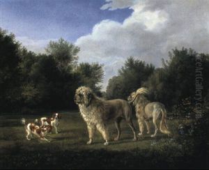Water And King Charles Spaniels In Wooded Landscape