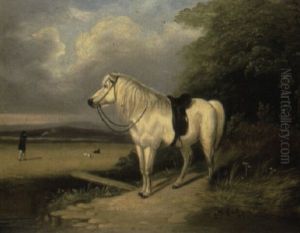 The Shooting Pony by Edmund Bristow