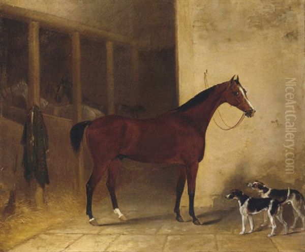 "roller," A Bay Hunter With Hounds "jolty Boy" And "jackey Boy" In A Stable - view 1