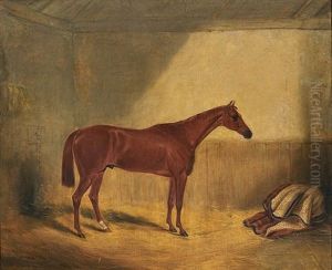 A Bay Horse by William Brocas
