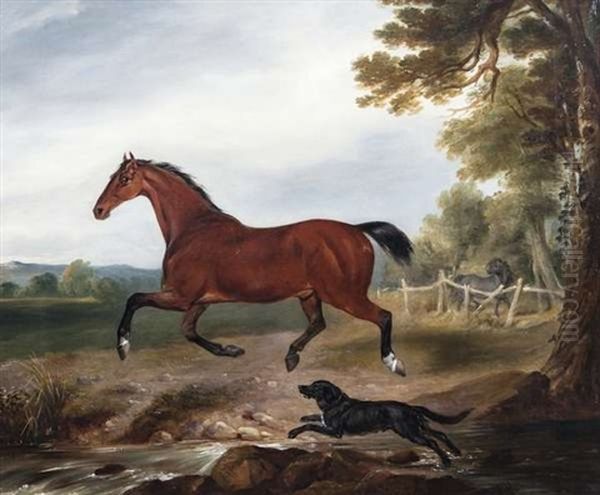 A Bay Stallion With A Dog In A Landscape - view 1