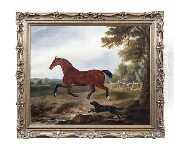 A Bay Stallion With A Dog In Landscape - view 1