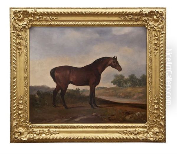 Thoroughbred Horses, Standing In A Landscape (pair) - view 1