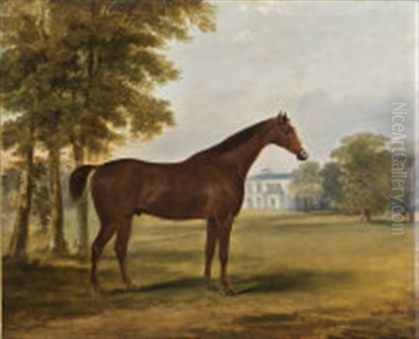 Dandy, A Bay Hunter In The Grounds Of Sheephill, Now Abbotstown, Castleknock Co., Dublin - view 1