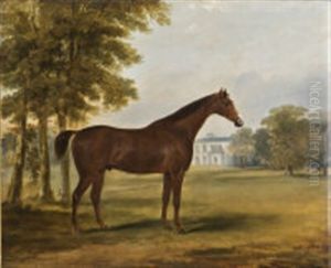 Dandy, A Bay Hunter In The Grounds Of Sheephill, Now Abbotstown, Castleknock Co., Dublin by William Brocas