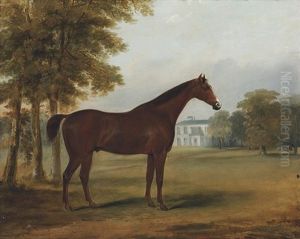 "dandy," A Bay Hunter In The Grounds Of Sheephill, Castlenock, Co. Dublin by William Brocas