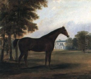Dandy, A Bay Hunter In The Grounds Of Sheephill, Castleknock, Co. Dublin by William Brocas