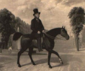 Portrait Equestre