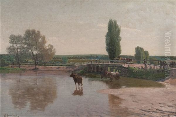 Kuhe In Der Prosna - view 1