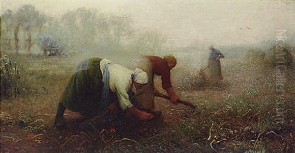 Potato Diggers, Normandy - view 1