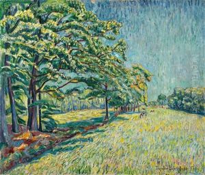 Sommerlandschaft Bei Kaiserswaldau