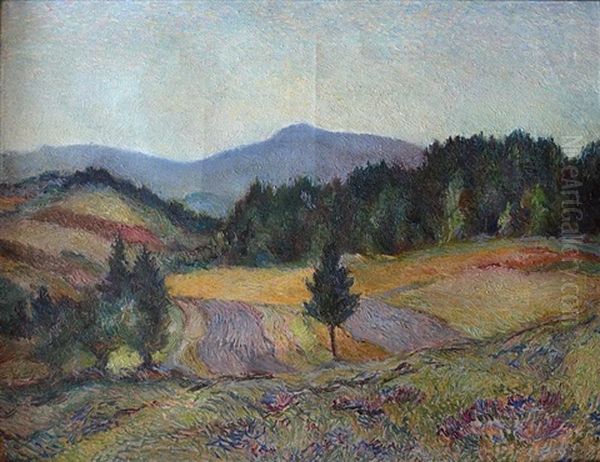 Landscape - view 1