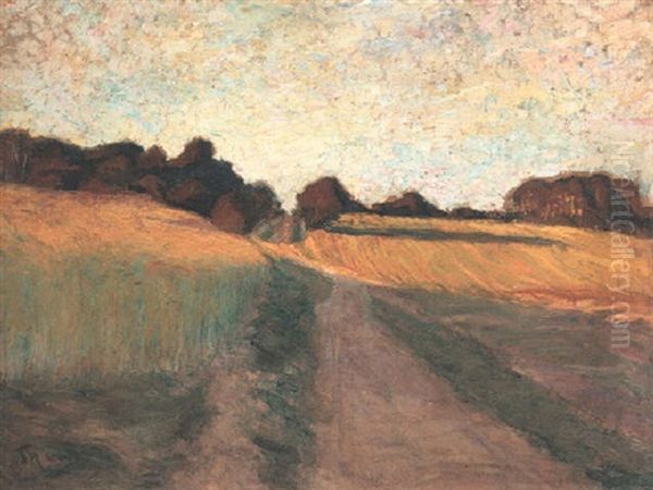 Ostpreussische Landschaft. Feldweg In Der Abendsonne - view 1
