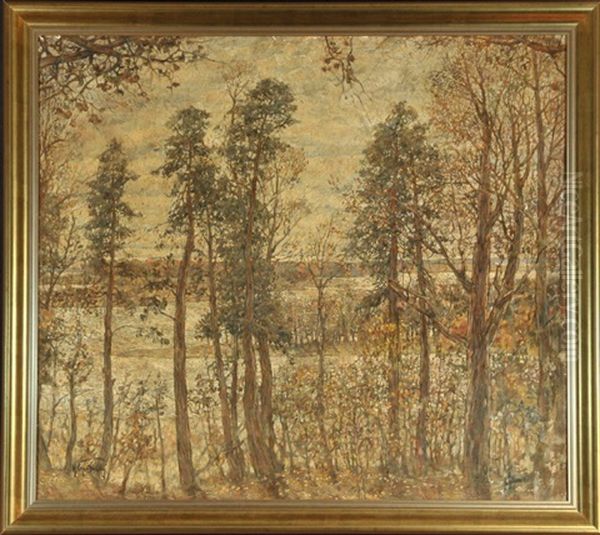 Herbstliche Flusslandschaft Mit Baumen - view 1