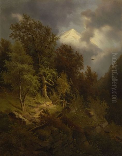 Felsige Baumlandschaft - view 1