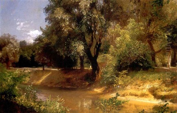 Napfenyes Parkreszlet (sunlit Park Scene) - view 1