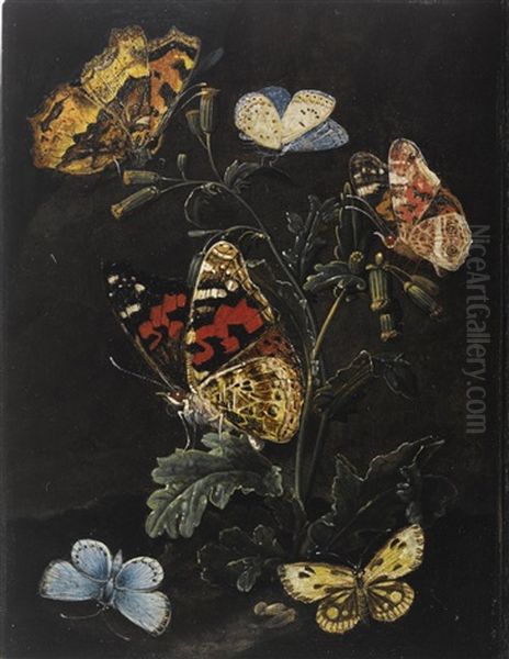 Forest Floor Still Life With Butterflies - view 1