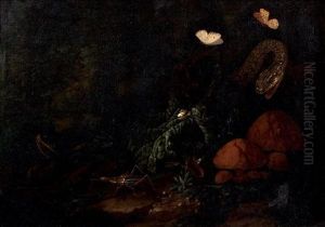 Champignons Et Insectes Dans Un Sous-bois by Elias van den Broeck