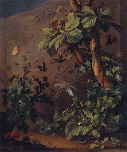 A Forest Still Life With Beetles, Grashoppers, Snails, A Butterfly, A Lizard And Other Insects - view 1