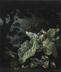 Nature Morte De Sous-bois Avec Sauterelles, Scarabee Au Clair De Lune by Elias van den Broeck