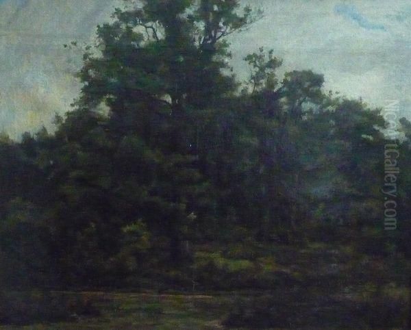 Paysage Boise - view 1