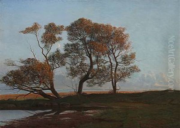 Late Summer Evening Near A Coast In The Light Of The Half-moon - view 1